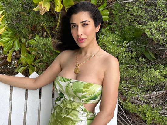 Sizzling Clicks Of Sophie Choudry